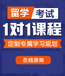 大鸡吧干BB你懂的留学考试一对一精品课